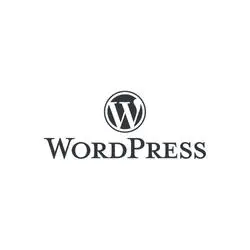 Intact Web: Wordpress website designing company