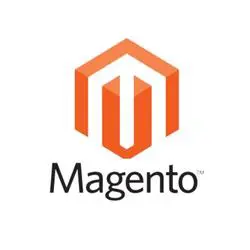 Intact Web: Magento website designing company